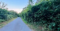 Teren intravilan în Pāulis Jud. Arad
